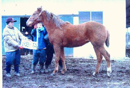 �ؿͺ� ����