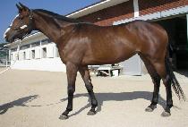 ���䵿�� (EUTTEUM DONGBANG) ����