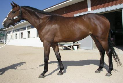 ���䵿�� ����