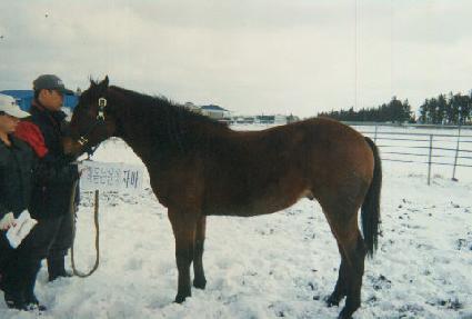 �����ְ� ����