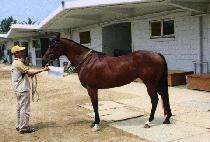 ��� (GYEONGSIN) ����