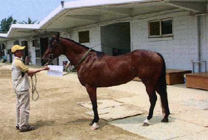 ��� ����