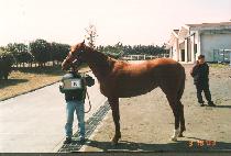 �������� (PPAREUJIO) ����