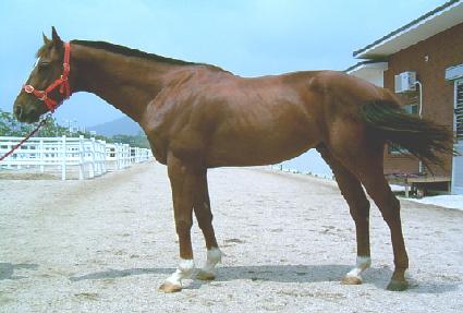 ȭ������� ����