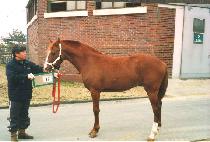 ū���� (KEUNBOMUL) ����