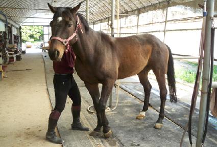 �̽���Ƽ�����ڸ� ����