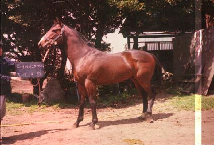 ����� ����