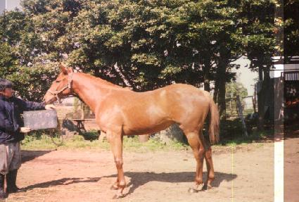 ��̵�� ����