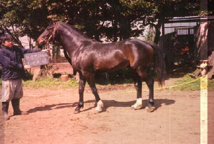 ������ ����