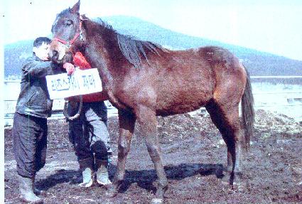 ���ϴ�� ����