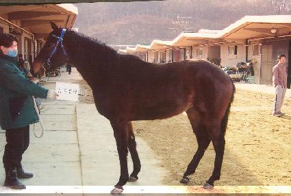 �ﰢ���� ����