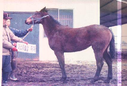 �����ҽ� ����