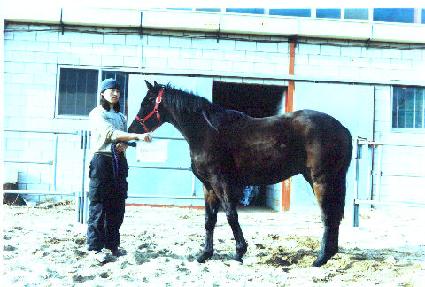 ��� ����