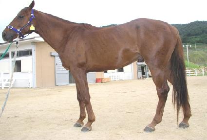 �������� ����