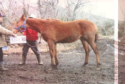 õ������ ����