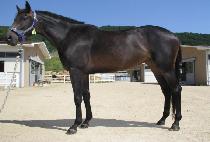 ���ȭ (UDAMHWA) ����