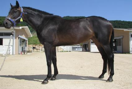 ���ȭ ����