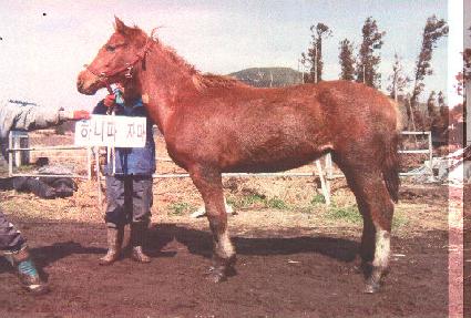 ��Ʈ������ ����