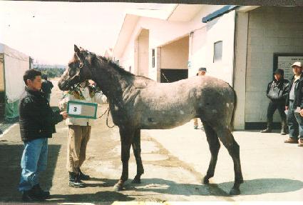 ���� ����