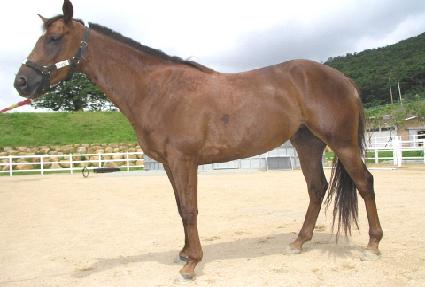 �̼ҿ��� ����