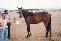 �������̴��� (K J DANCER) ����