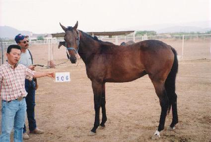 �������̴��� ����