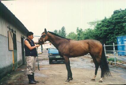 ���� ����