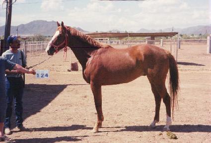 ���������̽� ����