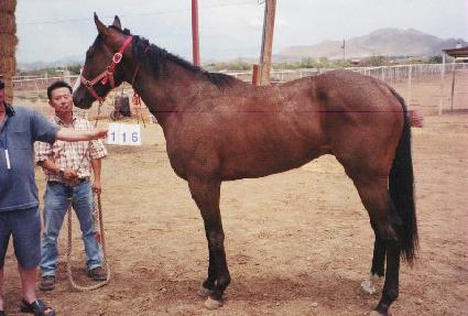 �������̻�ī ����