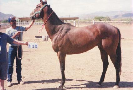 ��Ű������ġ ����