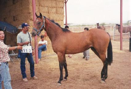 �������������ͽ� ����