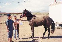 �پ��ø��� (GET UP PLEEZE) ����