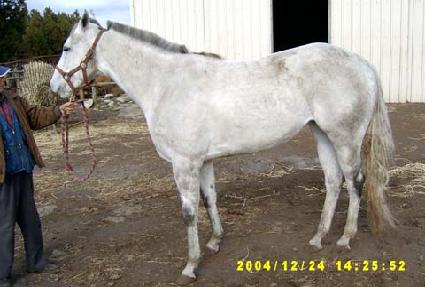 �̷�Ŭ�� ����