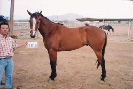 ����Ŭ�巹�̺� ����