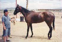 ��ó�� (REACHABLE) ����