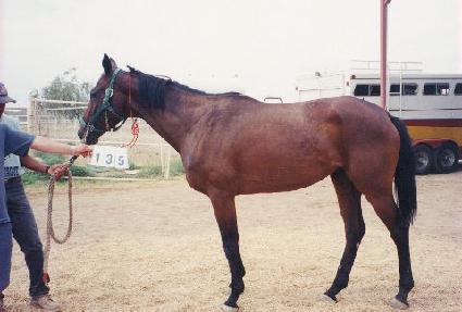 ũ������ ����