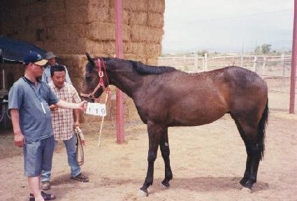 ���� ����