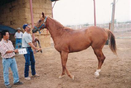 �۴�ŰƼ ����