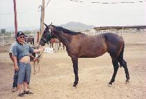 ������ (CONGENA) ����