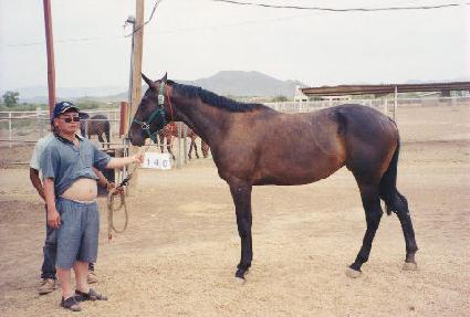 ������ ����