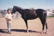 ������Ŭ�� (SPRINGKLES) ����