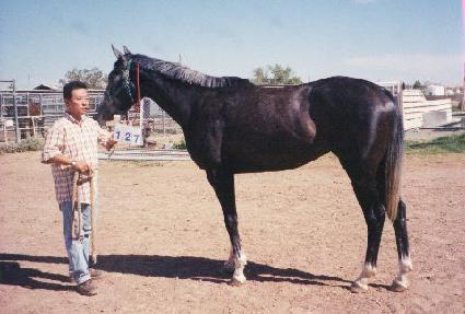 ������Ŭ�� ����