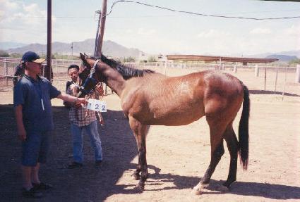 �ö��κ���̾�� ����