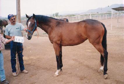 ��ȥ ����