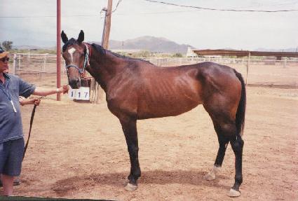 �ٸ��� ����