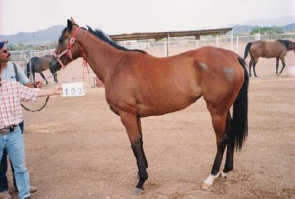 ������׷��̽� ����