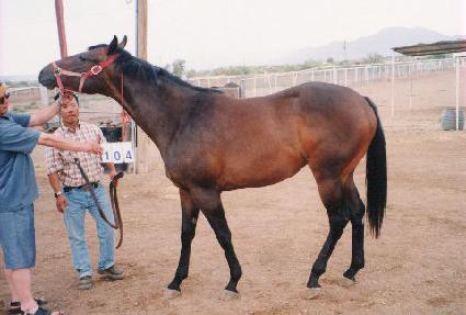 �ŷ� ����