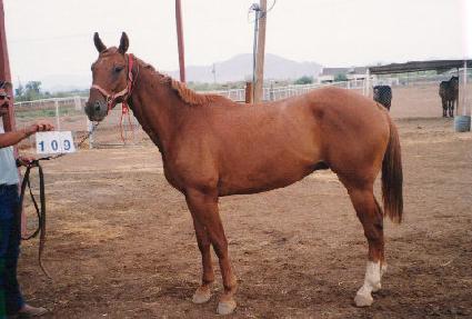 ������������ ����