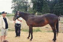 ����ظ޸��� (LOVE N��MEMORIES) ����