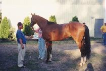 Ŀ����ũ��� (CUSH��S CROWN) ����